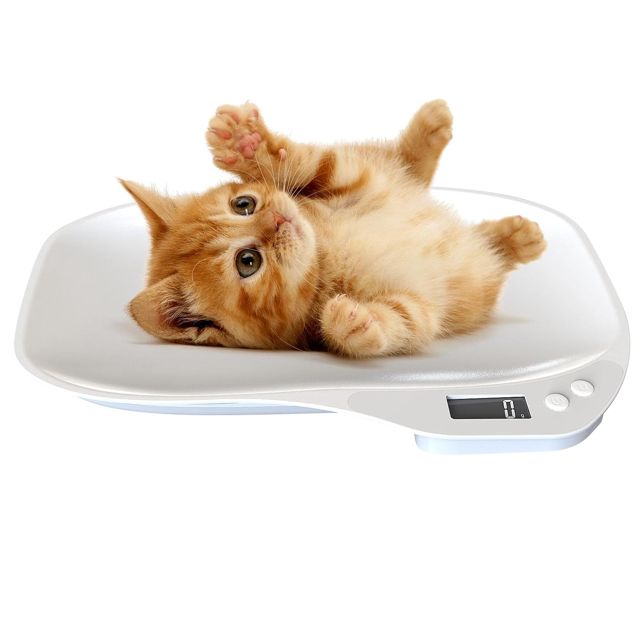 Balances pour animaux de compagnie pour chats,Balance numérique pour animaux de compagnie,Balance de cuisine multifonction Balance LCD précise - Balance alimentaire avec plateau de hauteur, balance