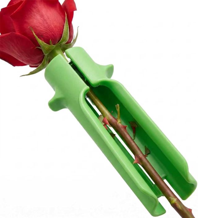 flower stripper,rosier sur tige,pour Fleuriste Professionnel (vert)