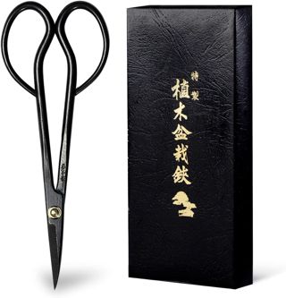 Wazakura Ciseaux Bonsaï Satsuki 180 mm, Acier Carbone, Fabriqués au Japon