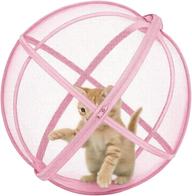 Boule Hamster pour Chat d'Extérieur Enclos de Chat Pliable en Roulant et