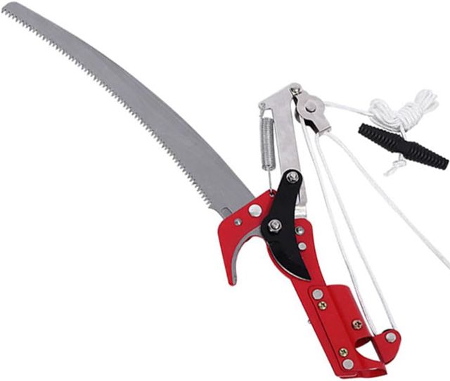 Scie d'élagage extensible pour élaguer et couper des branches hautes