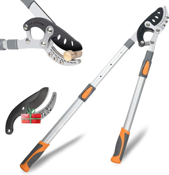 AIRAJ Coupe-Branches Télescopique 70-103 cm, Acier SK-5, 1 Lames Incluses