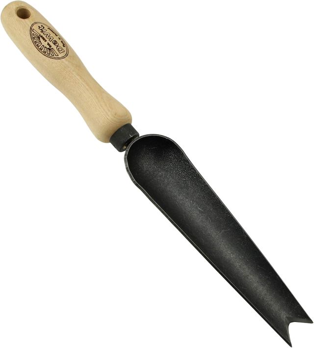 DeWit Truelle à mauvaises herbes en acier boréale 32cm I de qualité supérieure I Accessoires de jardin professionnels pour déherber I Premium Jäter pour enlever les discothèques I Fabriqué en Hollande