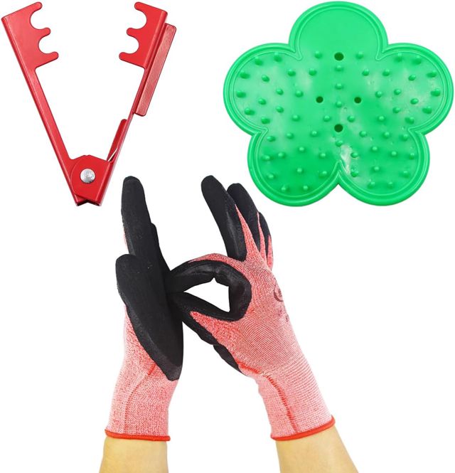 WANGCL Lot de 3 outils à dénuder pour arborescence de roses - Outils à main pour jardinage et arrangement floral