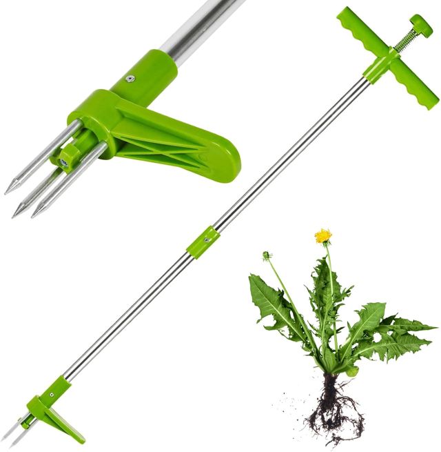 GEEZY Désherbeur de Mauvaises Herbes en Acier - Outil de Jardinage à Main, Vert