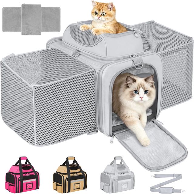 Sac Transport Chat Chien Approuvé Extensible Caisse de Transport