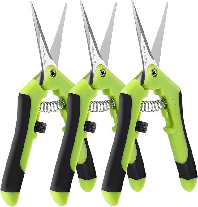 Laicky Lot de 3 ciseaux de jardinage de 15 cm (6,5 pouces), ciseaux de jardinage, jardinage avec lames droites de précision en acier inoxydable, jardinage, plante à fleurs, entretien précis de la