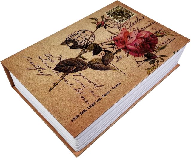 Coffre Fort en Forme de Livre, Boîte de Rangement de Livre avec Serrure à Combinaison, Secret Coffre Fort Caché, pour Argent Clé, Bijoux et Objets de Valeur, 24x16x5.5 cm