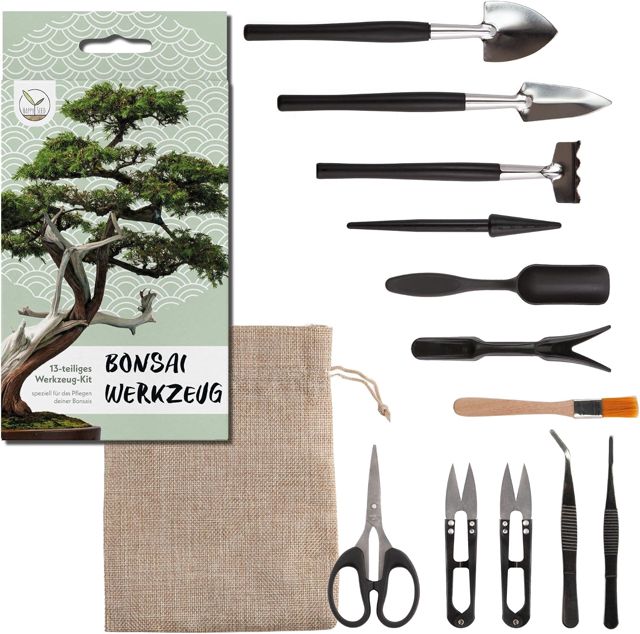 HappySeed Kit d'outils pour Bonsai 13 pièces avec Sac de Rangement Pratique - Mini Outils de Jardinage pour Les Plantes d'intérieur et Une Culture Professionnelle de bonsais
