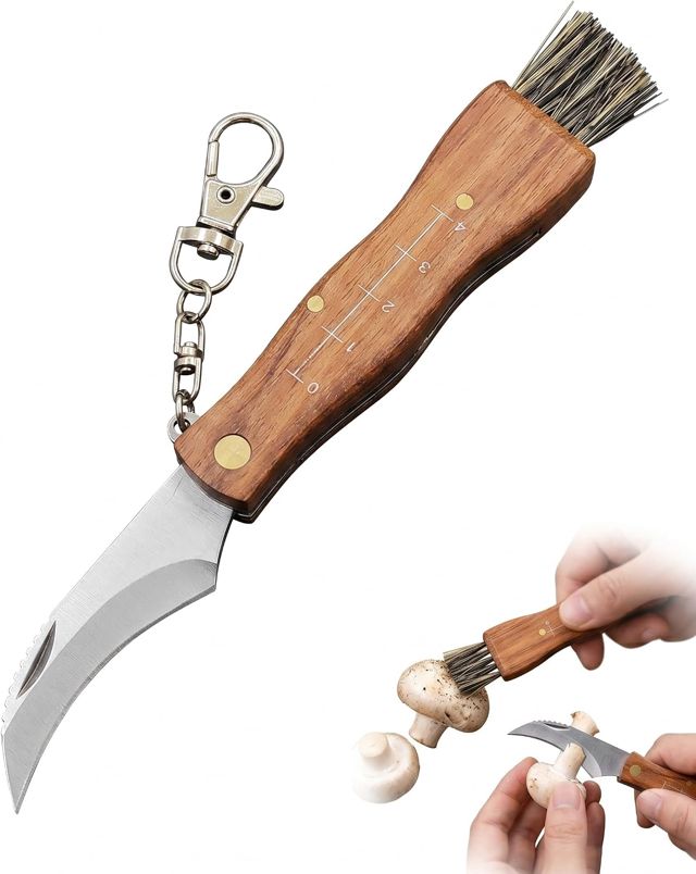 Couteau Champignon avec Brosse 1 Pièce Pliable Inoxydable Poignée en Bois avec Échelle pour Cueillette, Coupe, Brossage en Plein Air, Cadeau pour Cueilleurs de Champignons