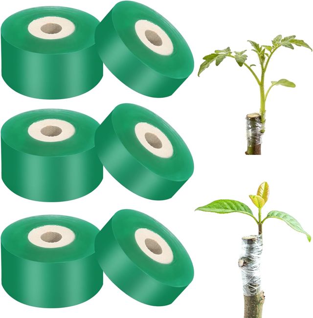 DUTIFUL Lot de 6 rouleaux de ruban de greffage, autocollant, pour arbres fruitiers, extensible, protection des plantes, pour arbres fruitiers, verger, 2 cm, 3 rouleaux de chaque taille