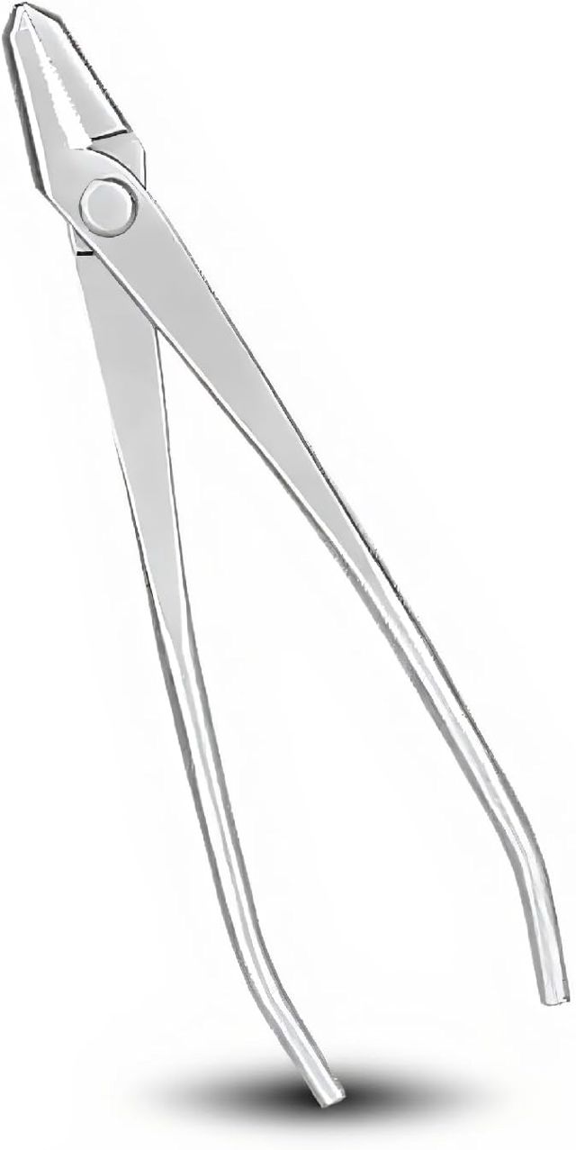 Coupe Bonsaï en Acier Inoxydable, Outil de Modélisation de Bonsaï Pinces Jin Bonsaï Outils et Accessoires Pour Bonsaï Outils Pour Bonsaï