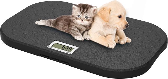 HomeFashion i-pouch - Grande Balance pour Animaux de Compagnie, Balance numérique de Haute précision de 10 g, Capacité maximale 40 kg, Couleur Noire