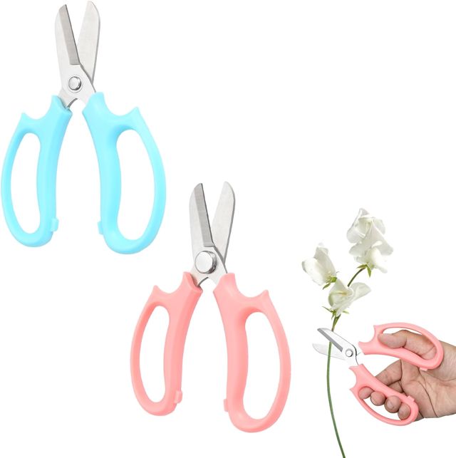 Lot de 2 Ciseaux à Fleurs Professionnels Petits Ciseaux de Jardin Sécateur Convient Pour Le Jardinage de Précision (Rose, Bleu)