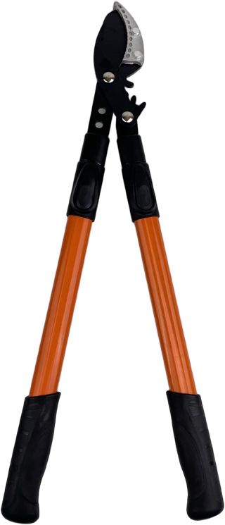 Coupe Branche Télescopique, 65 cm Sécateur avec Lames Revêtement Antiadhésif en Acier, Sécateur à Crémaillère Cisaille, Robuste Poignée pour la Coupe de Bois Vert, Couper Les Fleurs
