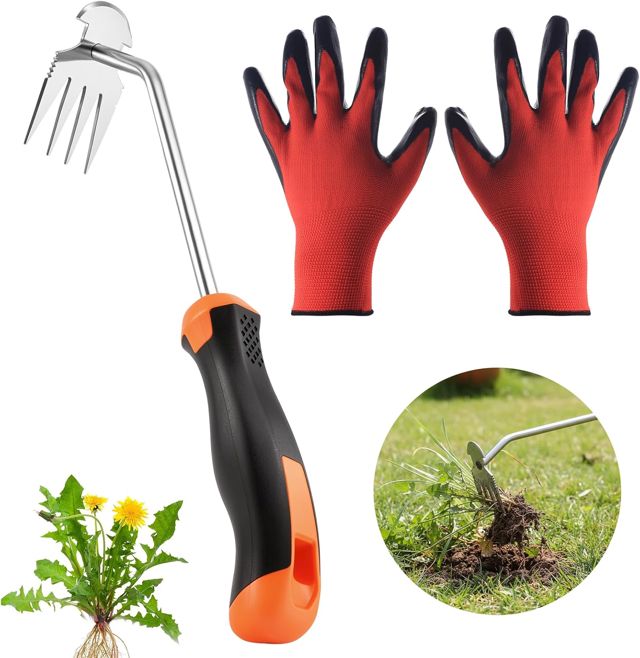 1 Désherbeur manuel métallique avec gants