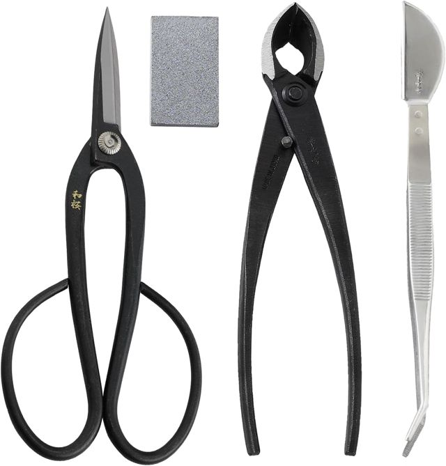 Wazakura Kit Bonsaï 4 Pièces : Ciseaux Ashinaga, Pince Concave et Gomme