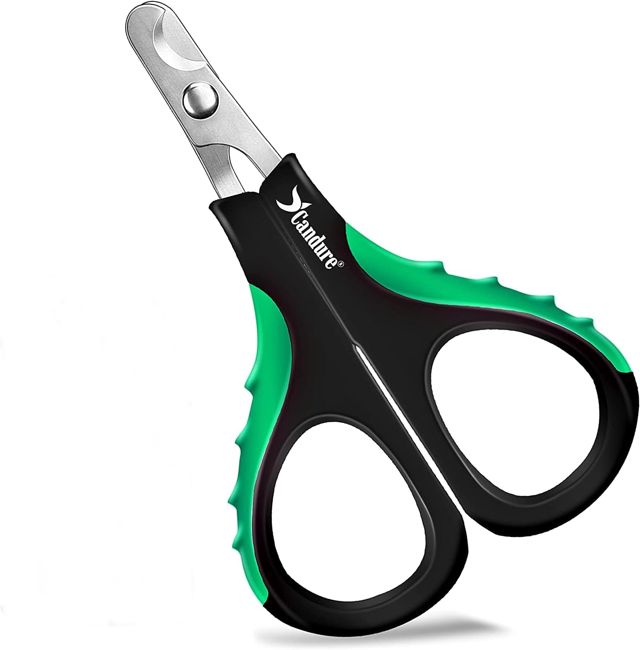 Candure Coupe Griffes Chat - Facile à tenir Coupe avec Precision Coupe Ongle Chat - Acier Inoxydable Chat Toilettage Coupe Ongles pour Chats, Chiens, Lapins Des Et Petits Animaux (Verte)