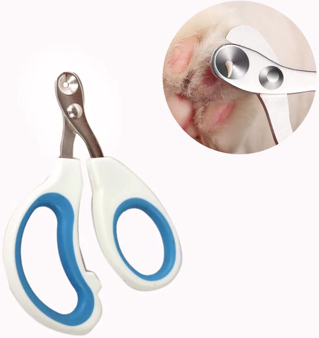 Coupe-ongles et tondeuse à griffes pour chat d'intérieur et petits animaux