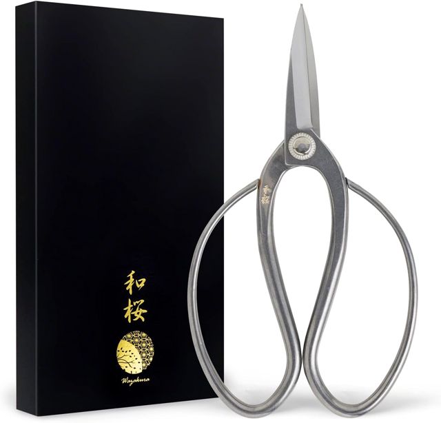 Wazakura Ciseaux Bonsaï Traditionnels 180 mm en Acier Yasugi, Japon