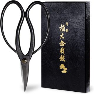 Wazakura Ciseaux Bonsaï 180 mm, Acier Carbone Noir, Fabriqués au Japon