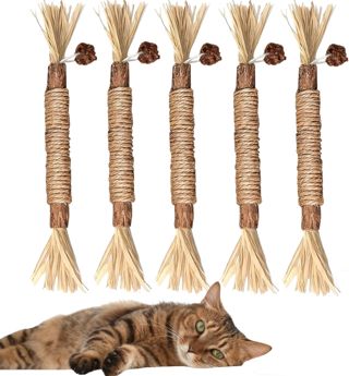 Lot de 5 Bâtonnets à Mâcher pour Chats en Bois Naturel – Jouets avec Herbe à Chat, Jeu Interactif Intérieur & Nettoyage Dentaire