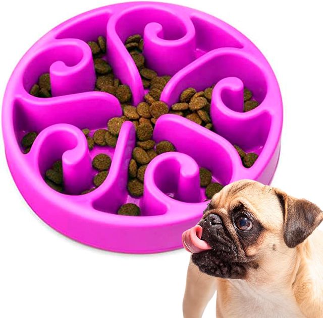 Edipets, Gamelle Anti Glouton Chat ou Chien, Plateau Interactif pour éviter l'Anxiété, pour Petits Animaux de Compagnie, Moyens et Grands (Gris)