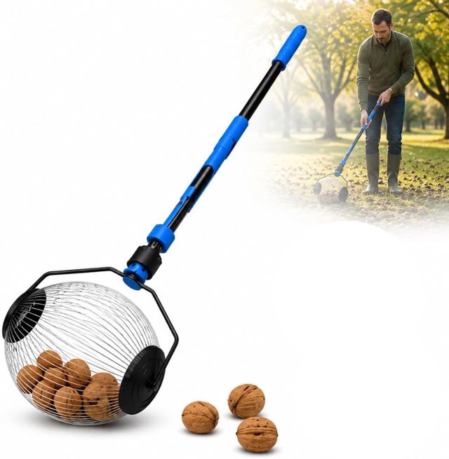 Ramasse Noix avec Manche Mécanique - Outil Cueillettes Jardin & Forêt – Ramasse Noisette et Ramasse Pomme - Cueilleur Inoxydable 1m, Léger, Anti-Douleur Dos, Facile à Utiliser