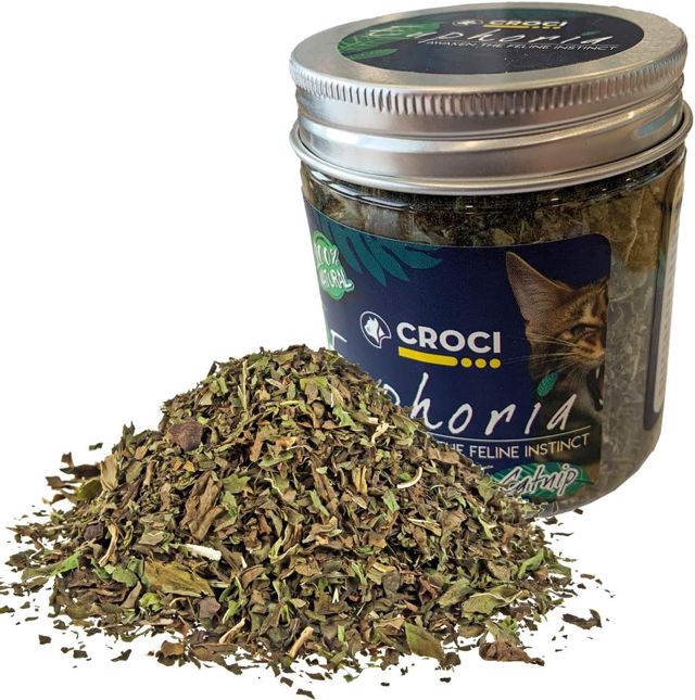 Croci Euphoria - Pot d'herbe à Chat, Herbe à Chat Comestible, pour Chats, 25 g