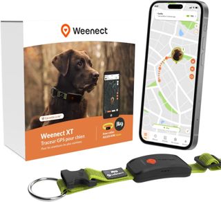 Weenect Chien XT - Collier GPS pour Chien | Abonnement requis