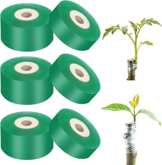 DUTIFUL Lot de 6 rouleaux de ruban de greffage, autocollant, pour arbres fruitiers, extensible, protection des plantes, pour arbres fruitiers, verger, 2 cm, 3 rouleaux de chaque taille