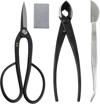 Wazakura Kit Bonsaï 4 Pièces : Ciseaux Ashinaga, Pince Concave et Gomme