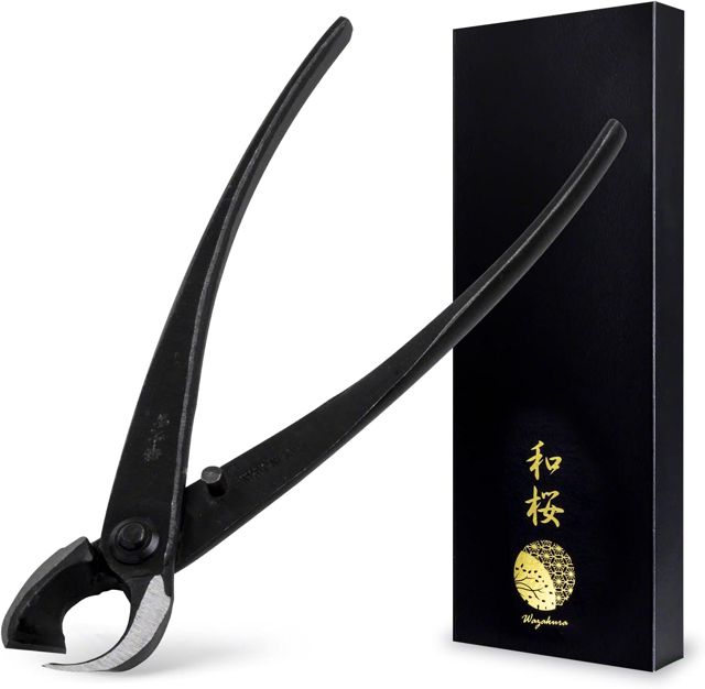 Wazakura Pince Concave Bonsaï 210 mm, Acier Carbone Noir, Forgée au Japon