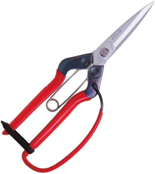 CHIKAMASA T-710GDX Sécateur plaqué chrome