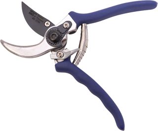 Amazon Basics Sécateur, Bleu