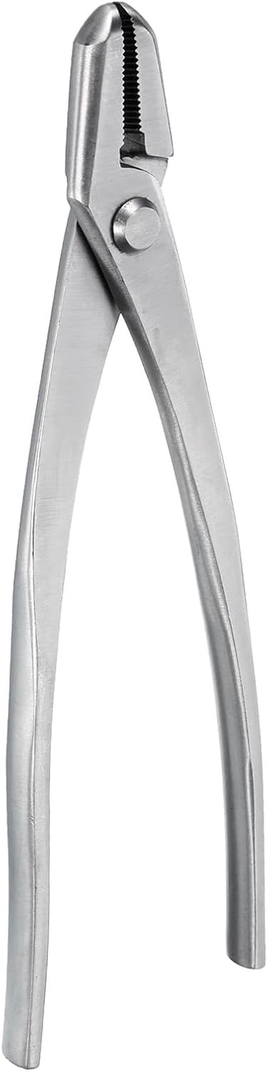 QUARKZMAN Pinces à Jin Bonsaï 8,7 pouces 220mm Outil de Bonsaï Argent