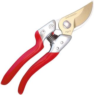 Sécateur Professionnel, Ciseaux de Jardin 21 cm - Chikamasa PSA-G8 Made in Japan