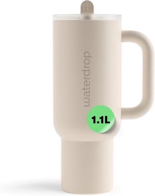 waterdrop® Gourde Isotherme avec Paille 1.1 litre - Froid Pendant 12 Heures, Mug Isotherme, Tasse Isotherme avec Poignée, Bouteille d'eau en Acier Inoxydable