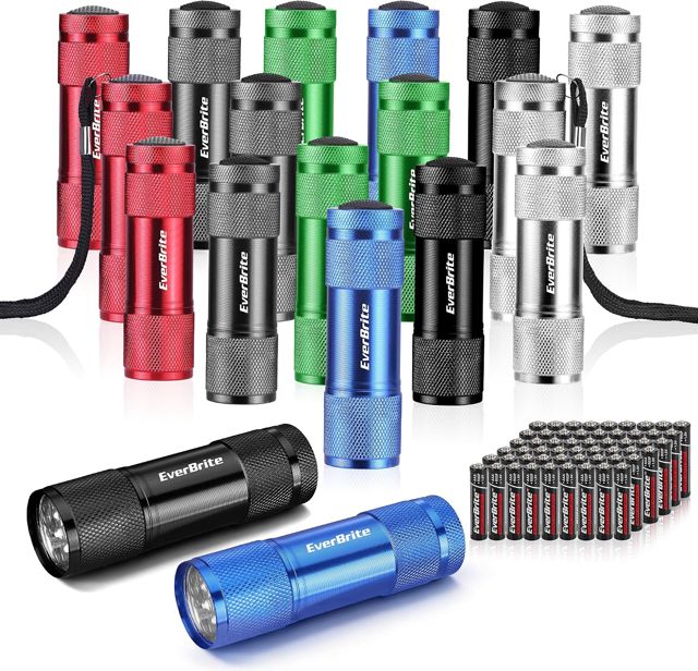 EverBrite Mini Lampe de Poche LED en Aluminium 18 Pièces