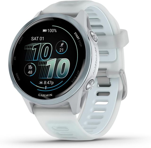 Garmin® Forerunner® 570 Montre Intelligente GPS avancée de Course et de Triathlon, écran AMOLED, Fonctions d'entraînement et de récupération, Aluminium Gris Ardoise avec Bracelet Noir translucide