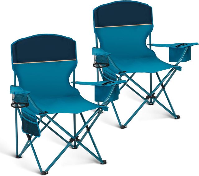 LET'S CAMP Lot de 2 Chaises Pliantes Camping Jusqu'à 120 kg Gris