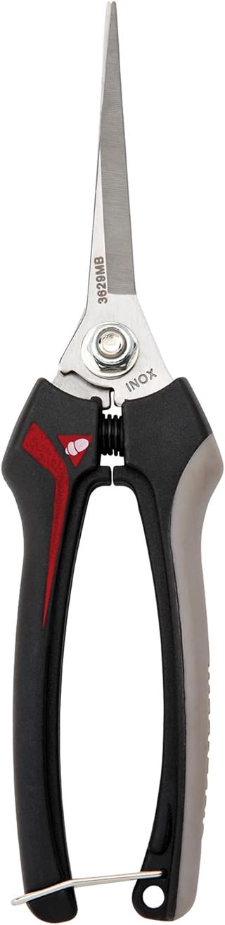 Bellota 3629 INOXGR25MB - Sécateurs de Récolte de Fruits, Outil d'Agriculture et de Jardinage, avec Manche Bi-matière et Longues Lames en Acier Inoxydable
