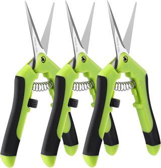 Laicky Lot de 3 ciseaux de jardinage de 15 cm (6,5 pouces), ciseaux de jardinage, jardinage avec lames droites de précision en acier inoxydable, jardinage, plante à fleurs, entretien précis de la