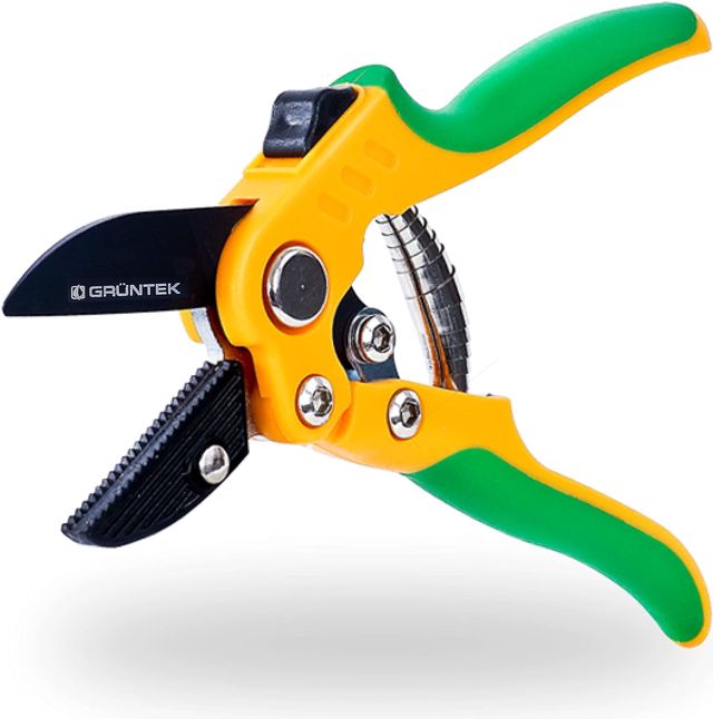 GRÜNTEK Sécateur de Jardin Cisaille à enclume STAR 220mm. Coupe Branche Ø