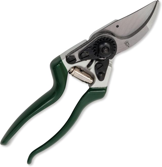 Spear & Jackson 6459KEW Collection Kew Gardens Sécateurs pour gauchers
