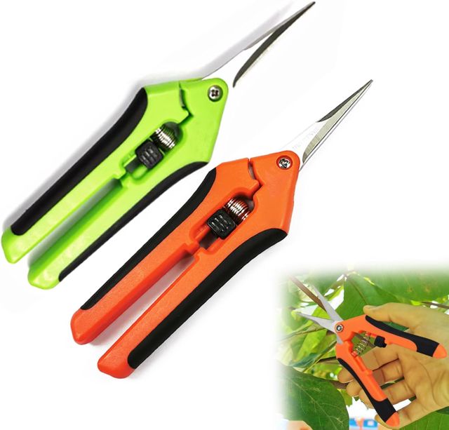 2pcs Ciseaux de Jardinage Faits à la Main, Sécateurs Précision Jardinage, Ciseaux de Jardinage en Acier Inoxydable pour les Plantes et les Fleurs(16.5cm, Orange/Vert)