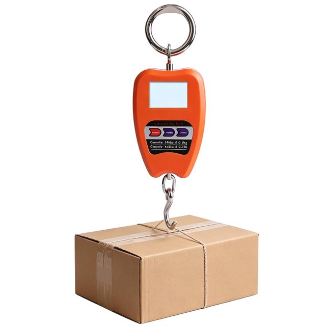 Balance électronique numérique à crochet de 200 kg, mini balance portative à grue suspendue balance poids de pêche industrielle sans fil avec écran LCD pour le commerce