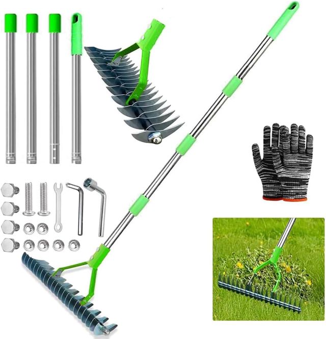 Scarificateur Manuel avec Roues, Verticuteur à Manche de 165 cm, Aérateur de Gazon avec Roues, Grattoir de Jardin en Métal, Amovible, Verticuteur Réglable, Houe de Scarification pour Jardin, Cour