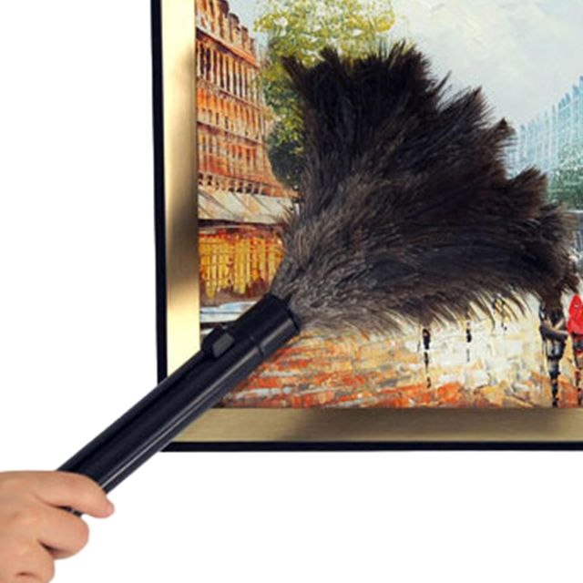 Plumeau pour nettoyage – Outil télescopique pour enlever la poussière