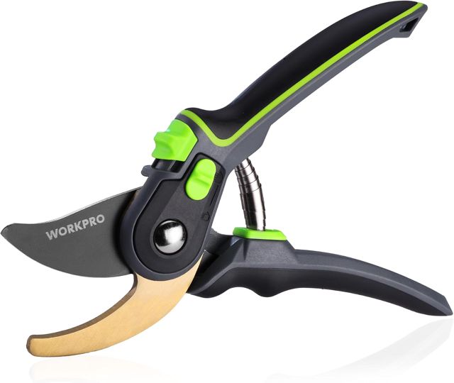 WORKPRO Sécateur Bypass 250 mm avec Revêtement Antiadhésif
